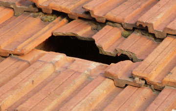 roof repair Stamshaw, Hampshire